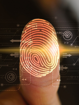 digital scan of a fingerprint