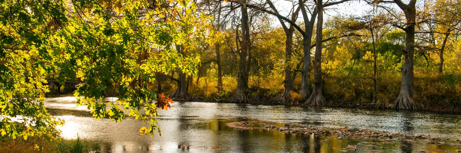 landscape of a river