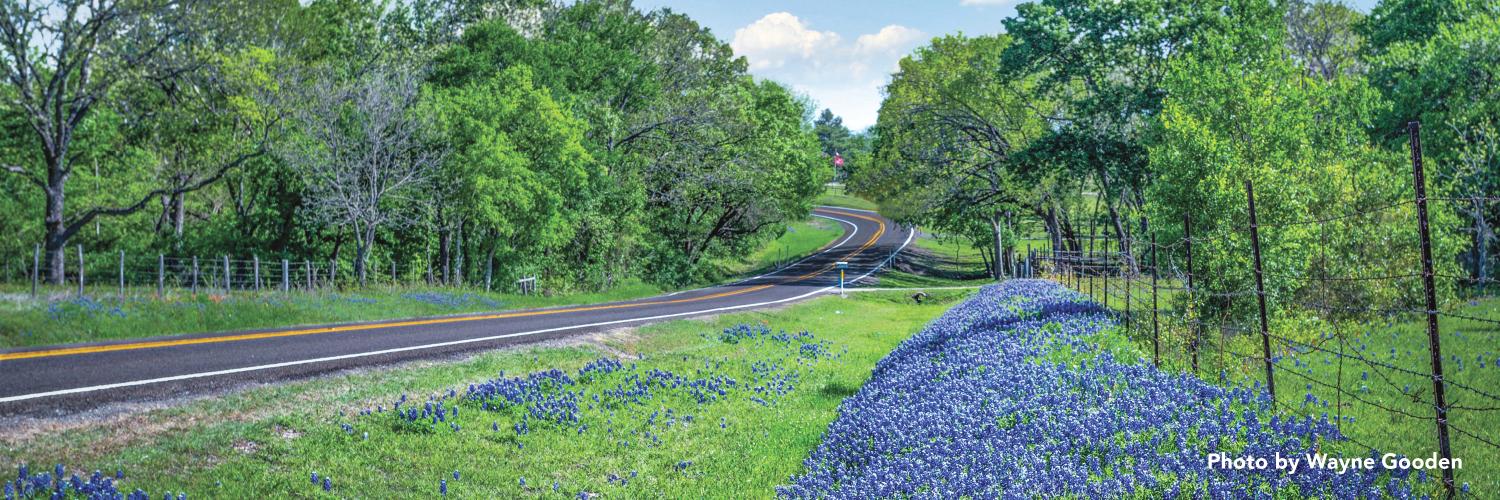 winding road in the country