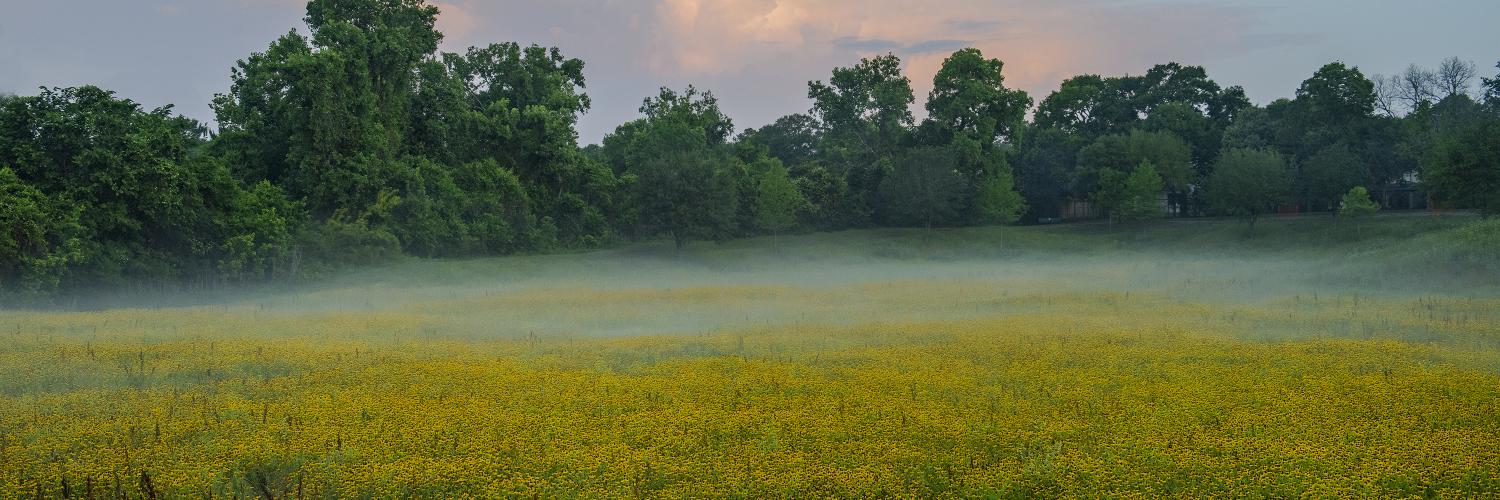 Texas landscape