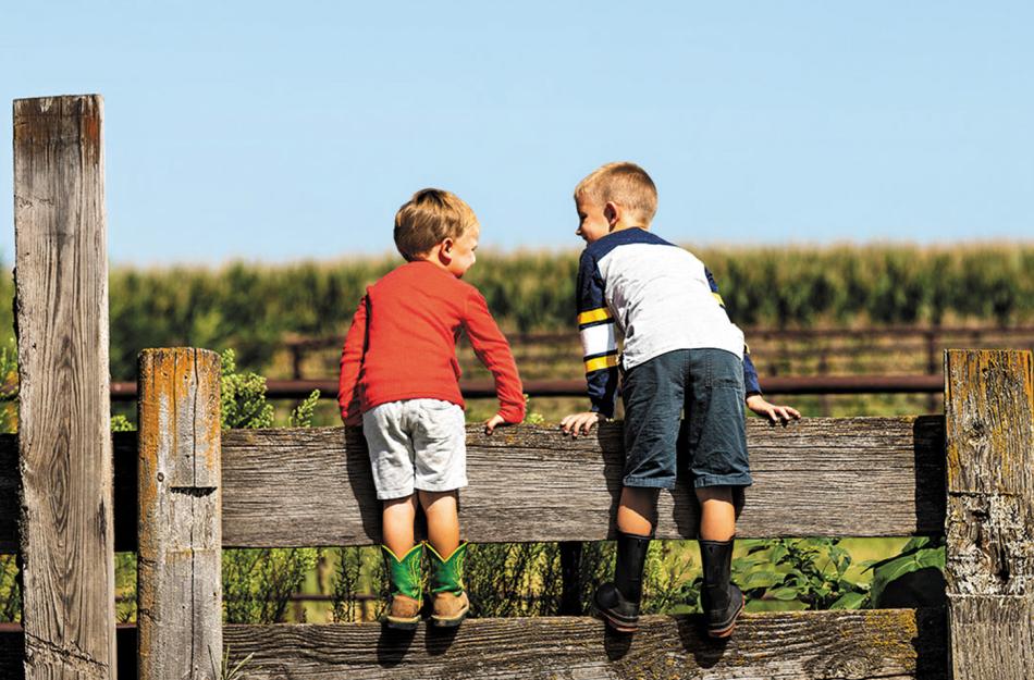 boys on the fence