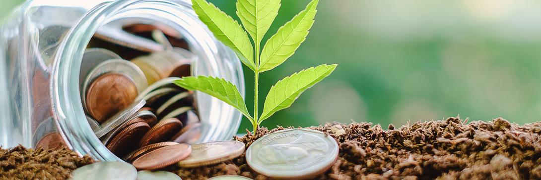 jar of coins by a plant