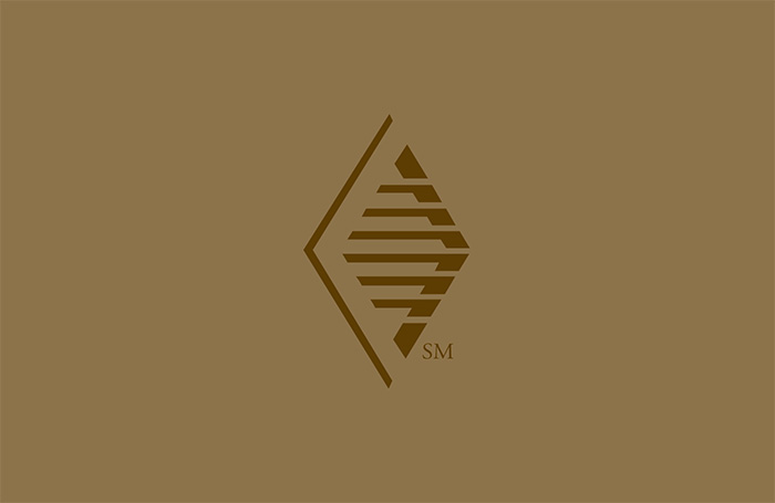 pinnacle bank logo